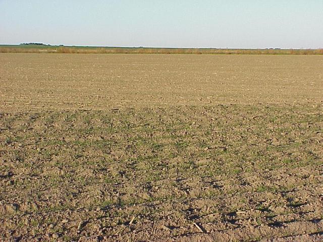 View to the west from the confluence.