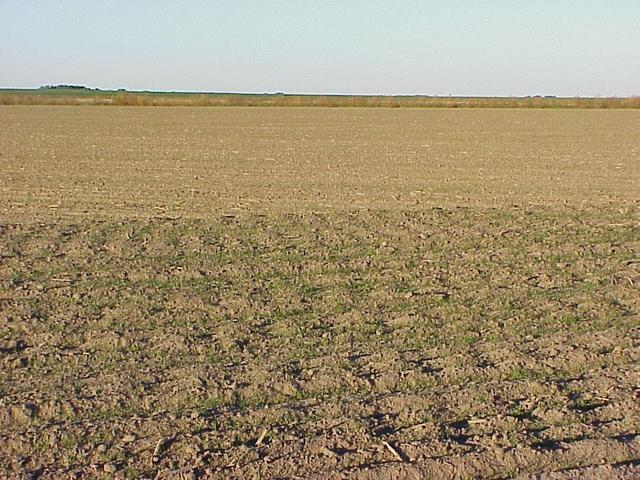 View to the west from the confluence.