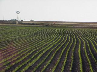 #1: Confluence site on the Great Plains, looking east.