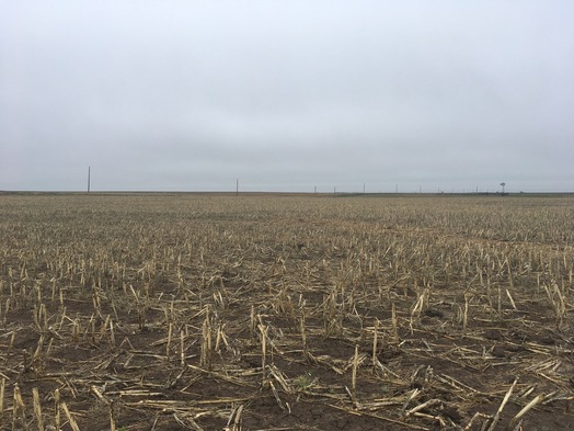 #1: View NE toward the confluence in the foreground