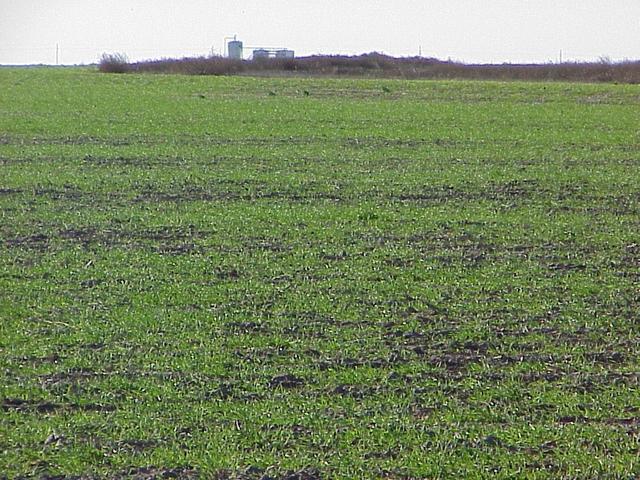 View to the south from the confluence showing some of the petroleum infrastructure.