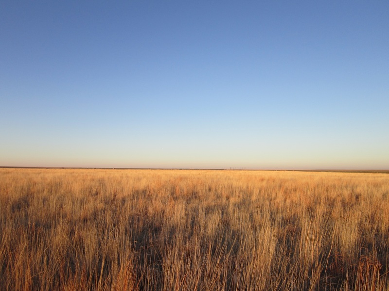 From confluence point, facing north