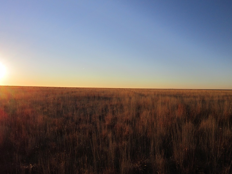 From confluence point, facing west.