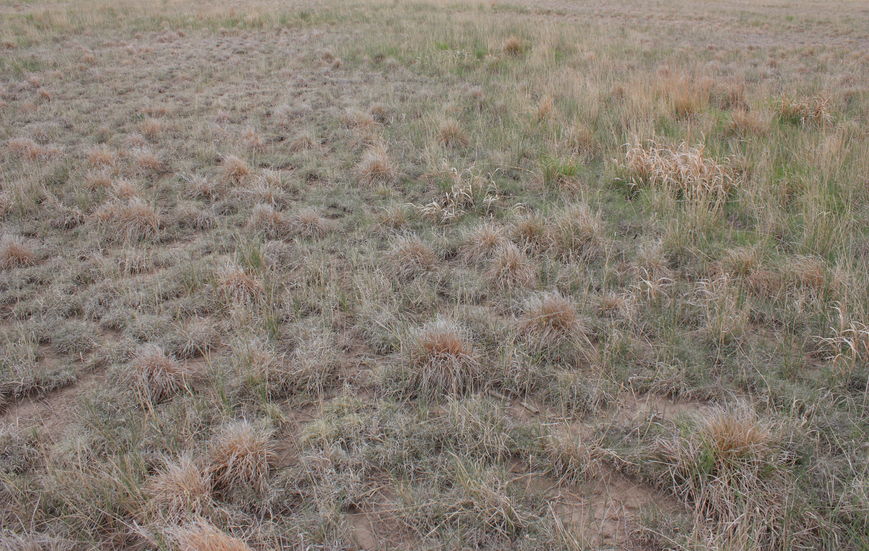 General Area