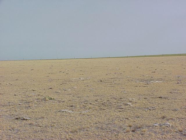 View from the confluence to the north across the west Kansas Great Plains.