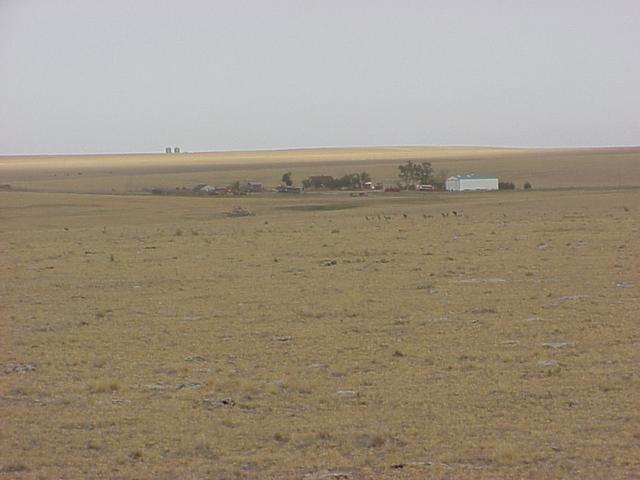 View from the confluence to the northwest, toward Mount Sunflower.