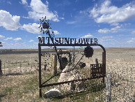 #2: Mount Sunflower