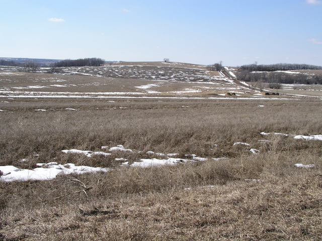 Cattle graze to the west of 40N 96W.