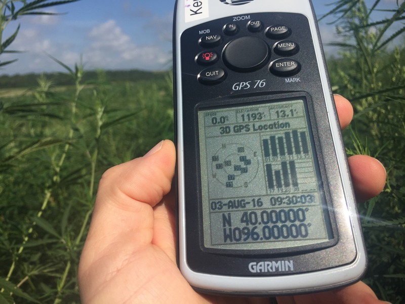 GPS reading at the confluence point. 