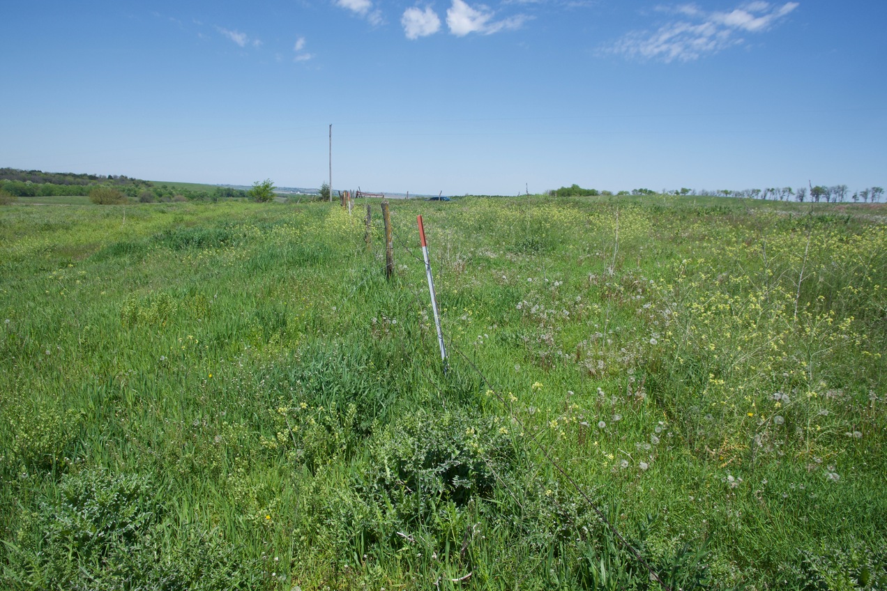 The confluence point lies next to a flimsy fence, just 230 feet South of the Nebraska-Kansas State Line.  (This is also a view to the North, towards Nebraska.)