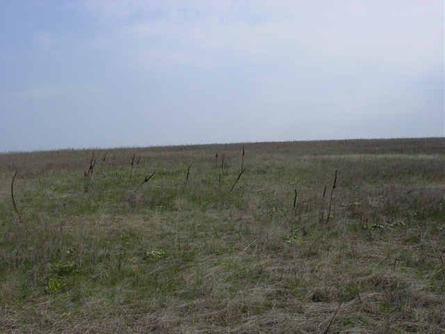 Looking north