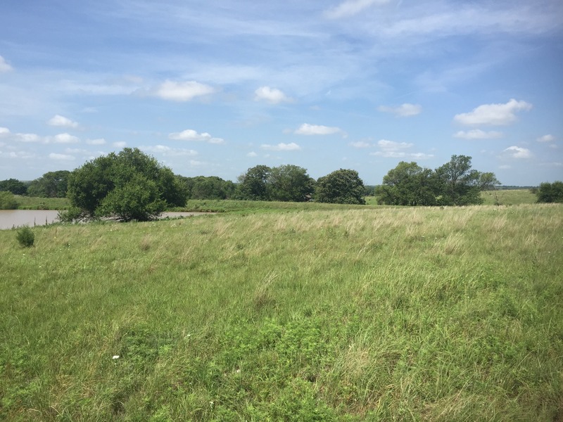 View to the west from the confluence.