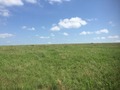 #5: View to the north from the confluence. 