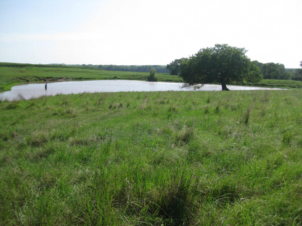View to the SW