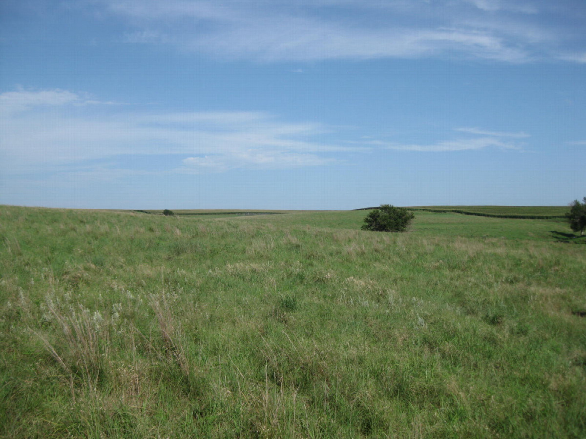 View to the east