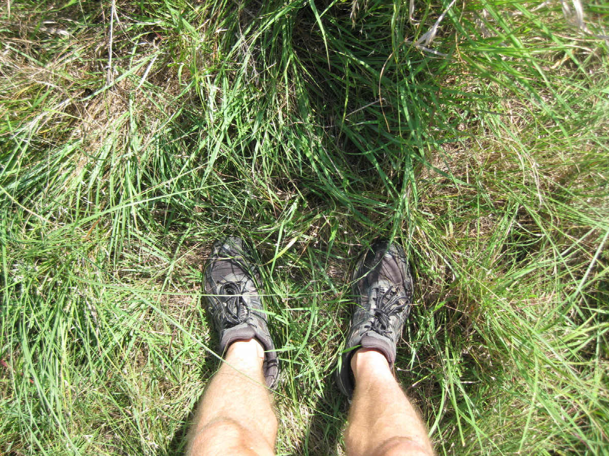 Ground cover