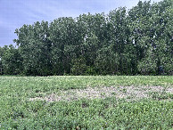 #4: A view to the south from the confluence point.