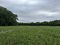 #5: A view to the west from the confluence point.