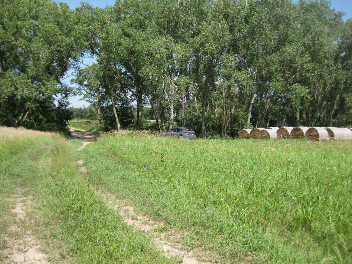 Parking environs by the hay bales