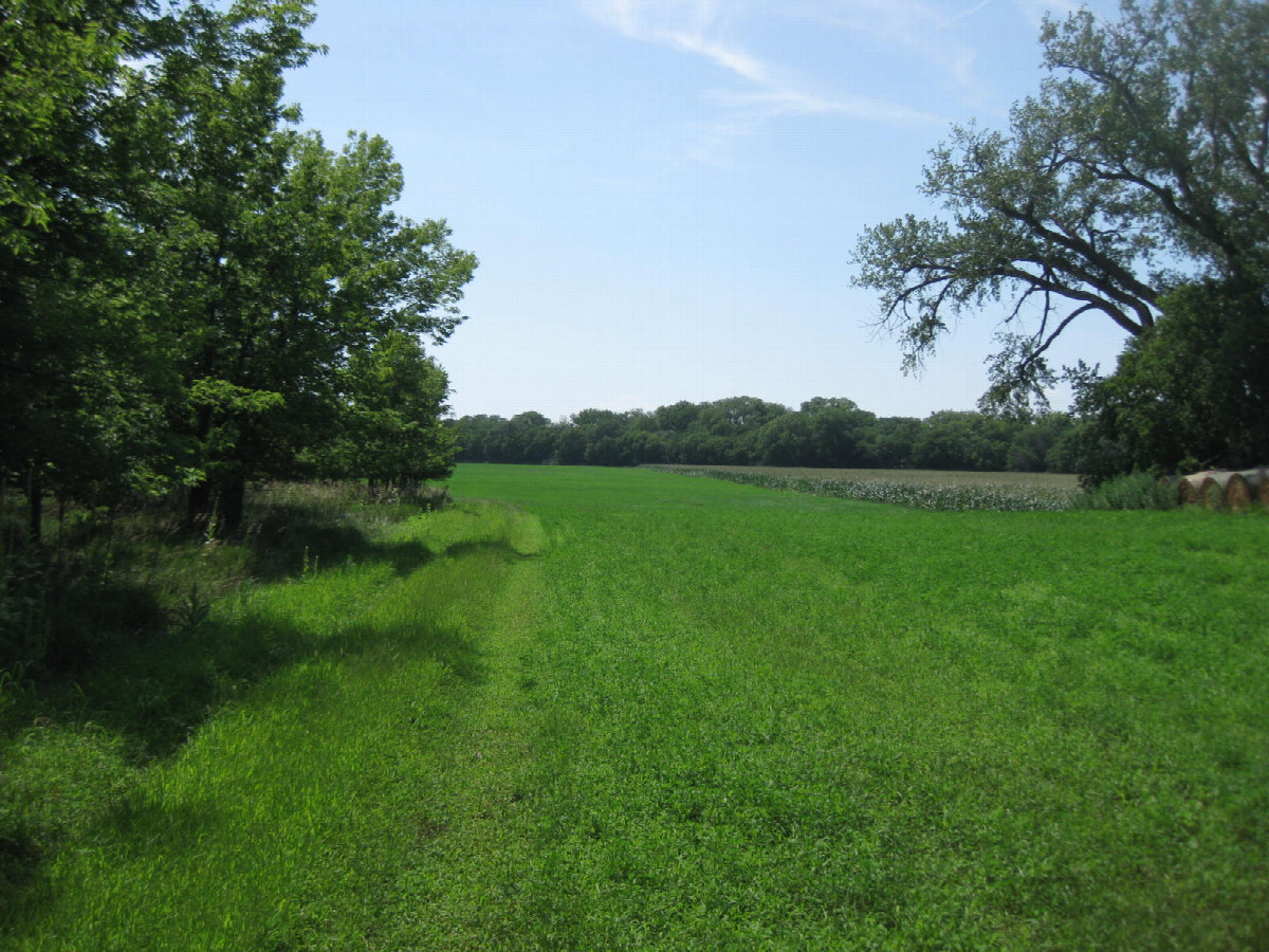 The approach through the field, corn just to the north and river just to the south