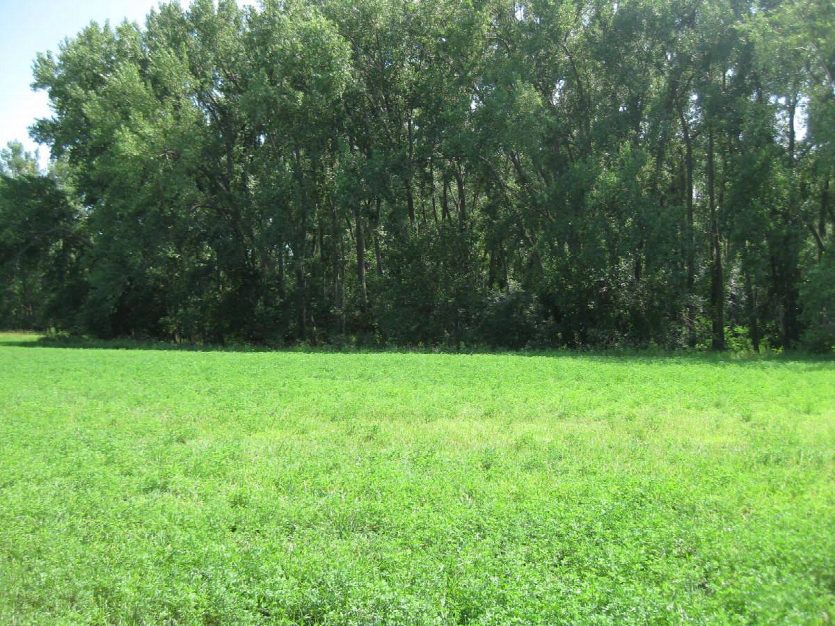 View to the south, toward the river