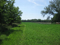 #3: The approach through the field, corn just to the north and river just to the south