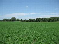 #5: View to the east, toward where I parked