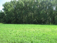 #6: View to the south, toward the river