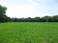 #7: View to the west, the direction from which the previous visitors came in 2001