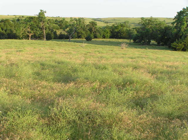 View to the south from 40 North 99 West.