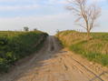 #9: Very sandy closest road to the confluence, looking east:  Kansas on the right, Nebraska on the left!