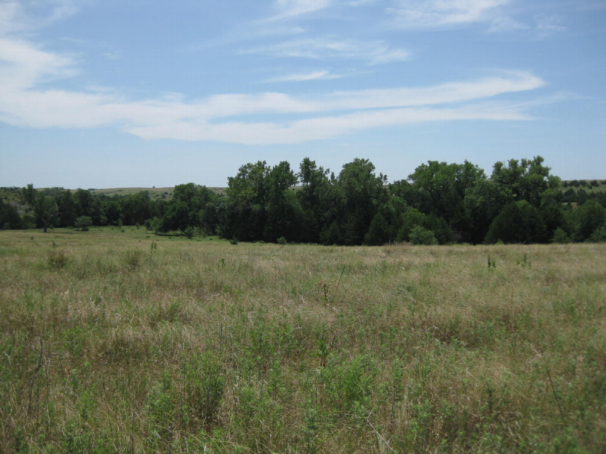 View to the SSW, confluence in the foreground