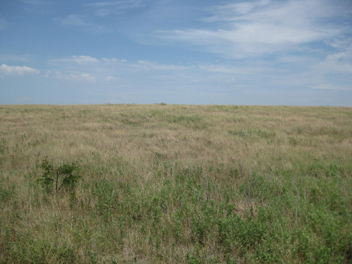 View to the north and slightly uphill