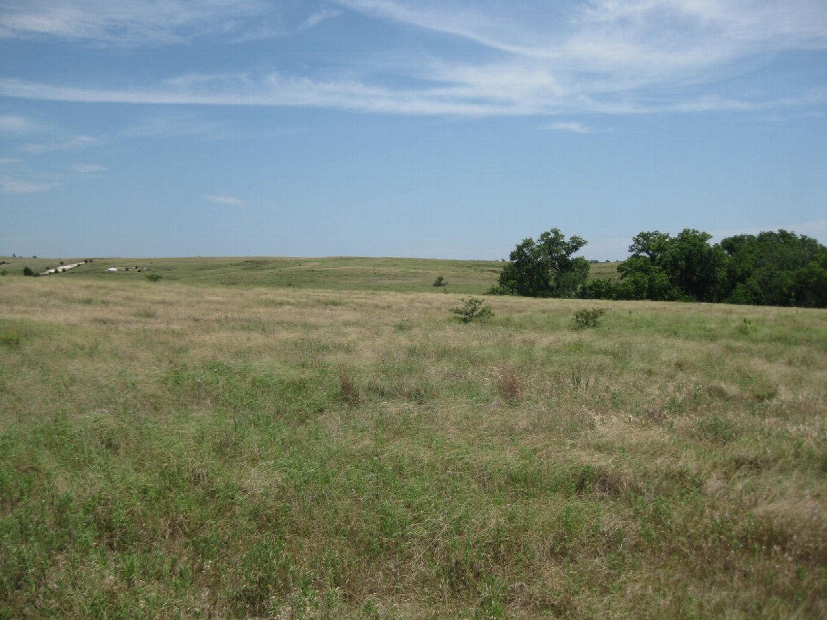 View to the east