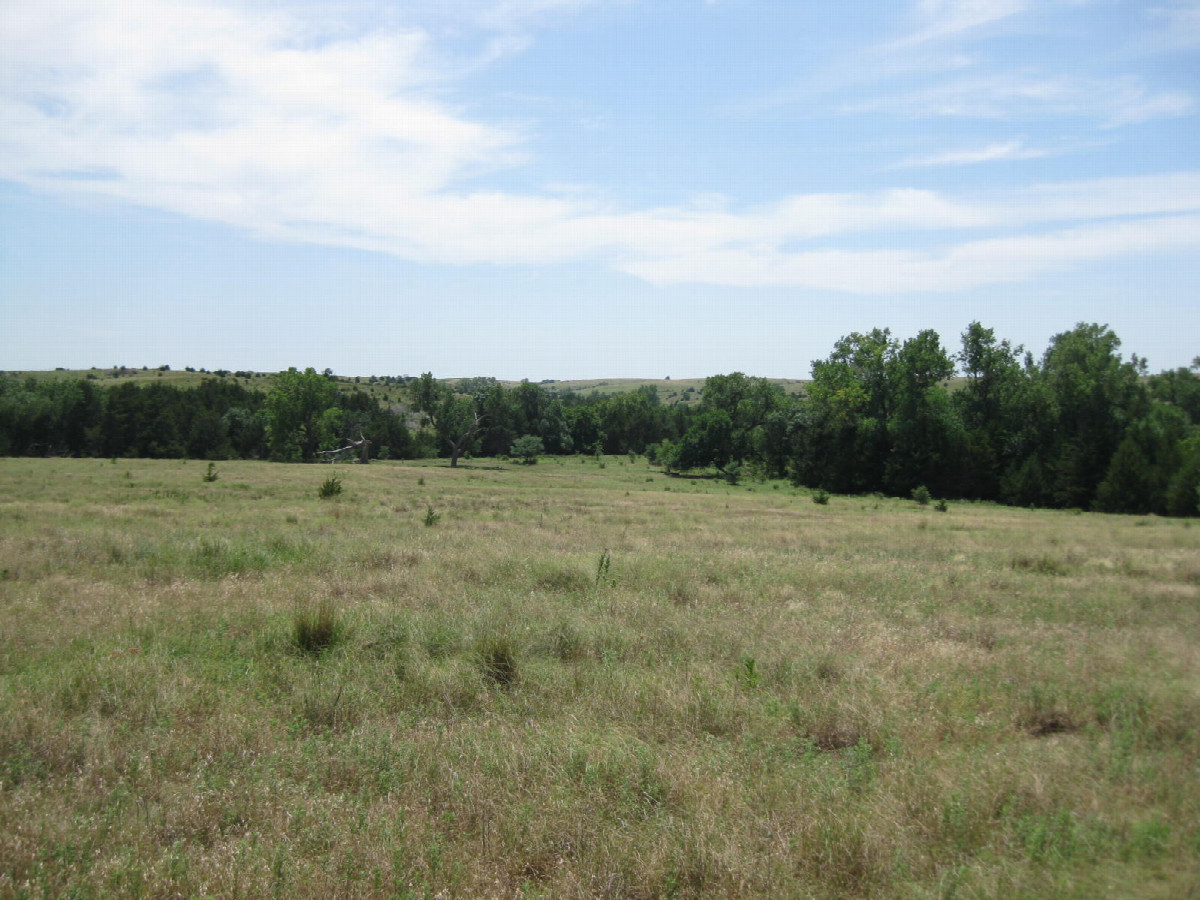 View to the south and slightly downhill