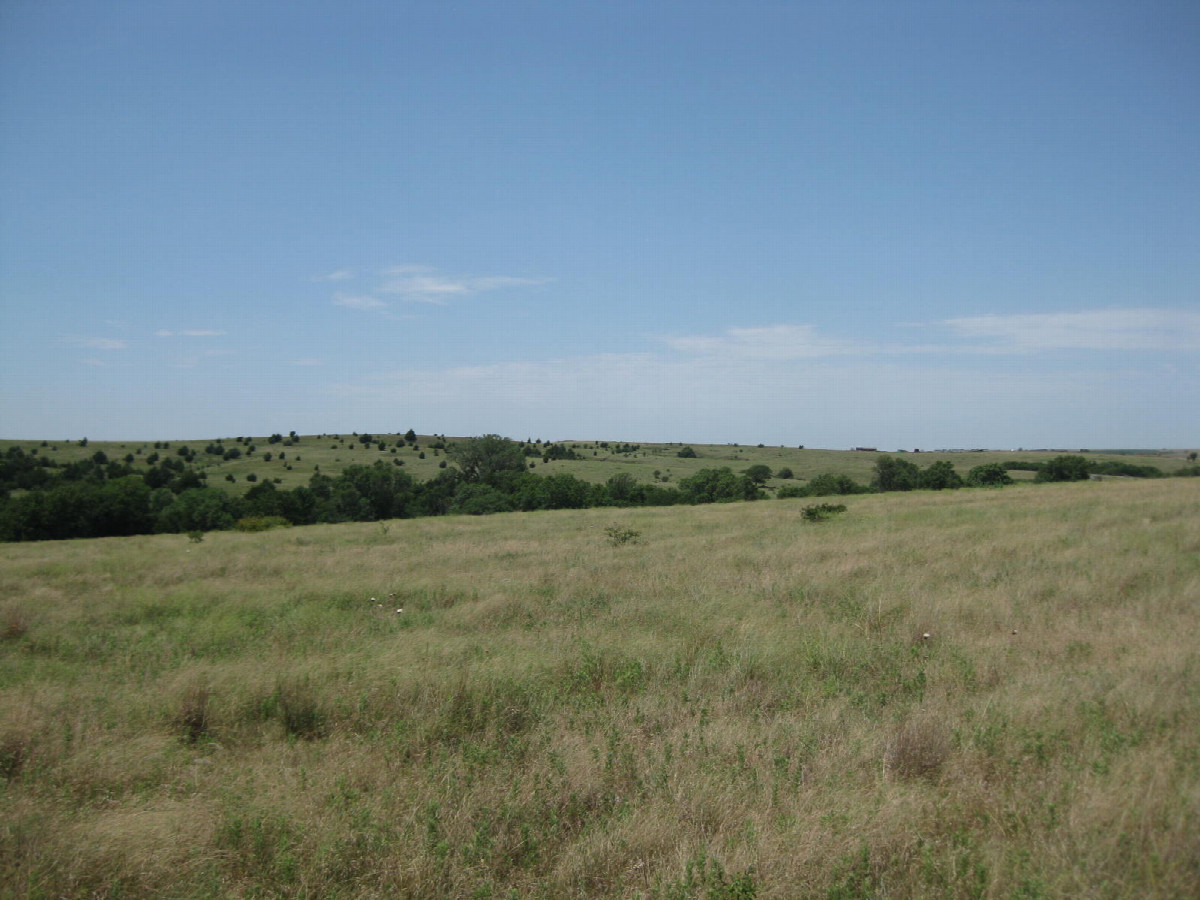 View to the west