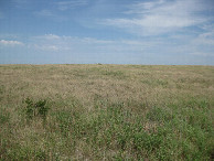 #2: View to the north and slightly uphill