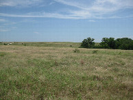 #3: View to the east