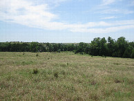 #4: View to the south and slightly downhill