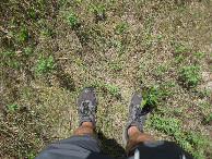 #6: Ground cover
