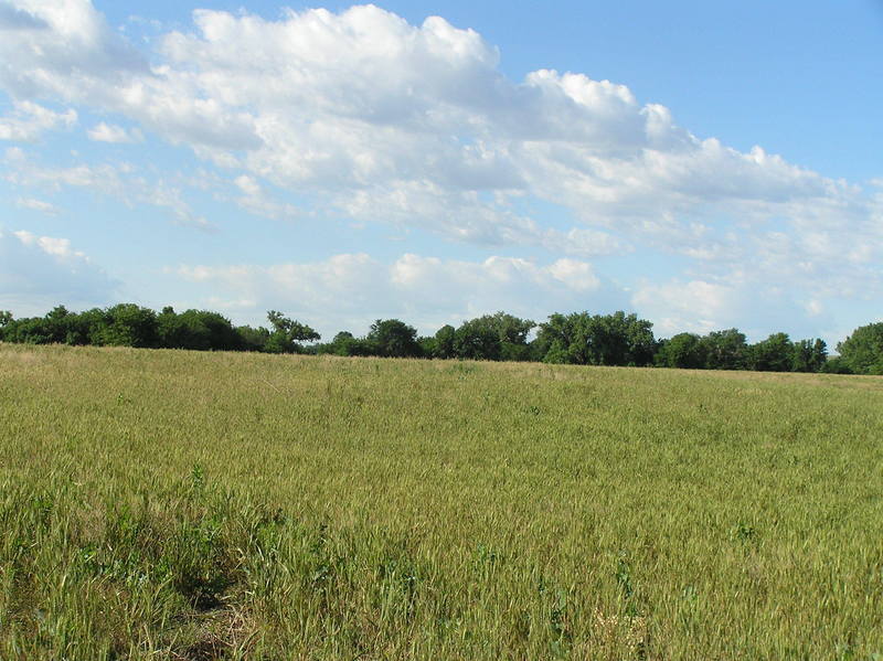 View to the south from the confluence.