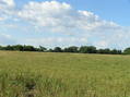 #3: View to the south from the confluence.