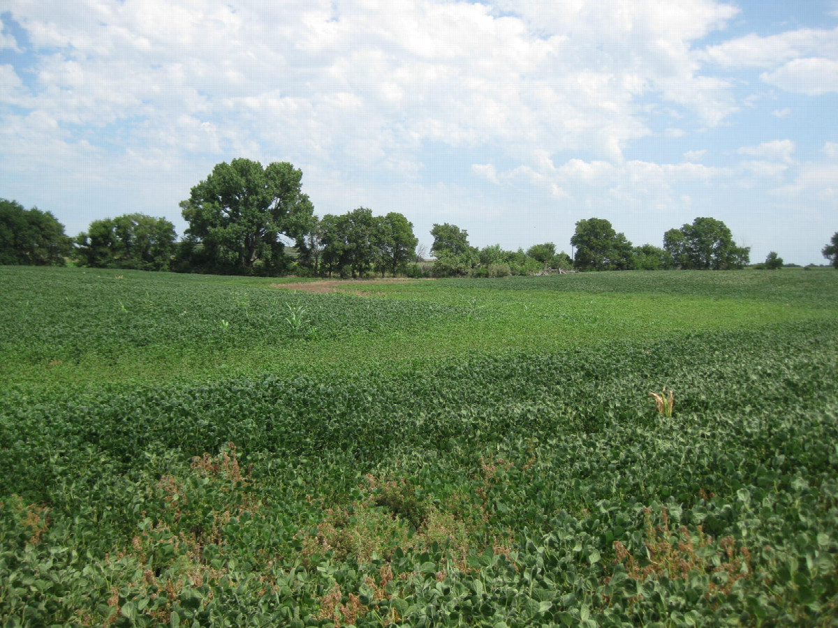 View to the northeast, confluence in the foreground