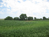 #3: View to the north