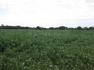 #5: View to the south
