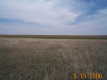 #2: Looking East across pasture and wheat