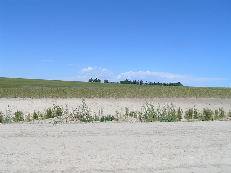 View to the west from the confluence.