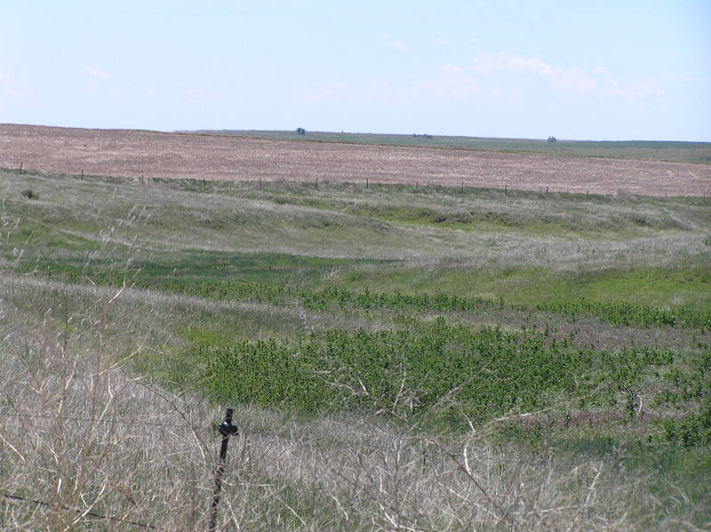 View to the east from the confluence, Nebraska on the left, Kansas on the right.