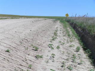 #1: 40 North 101 West in the foreground, looking north into Nebraska.