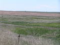 #7: View to the east from the confluence, Nebraska on the left, Kansas on the right.